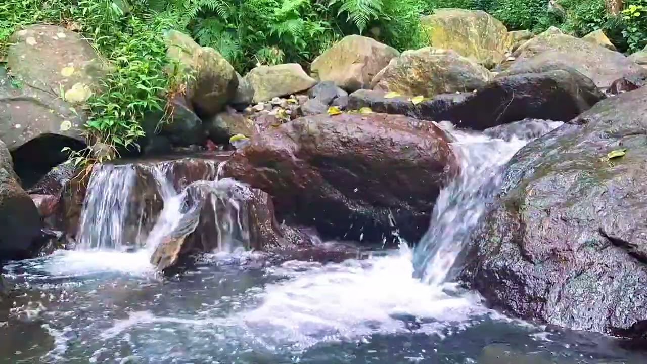 Calm River Sounds for Deep Rest