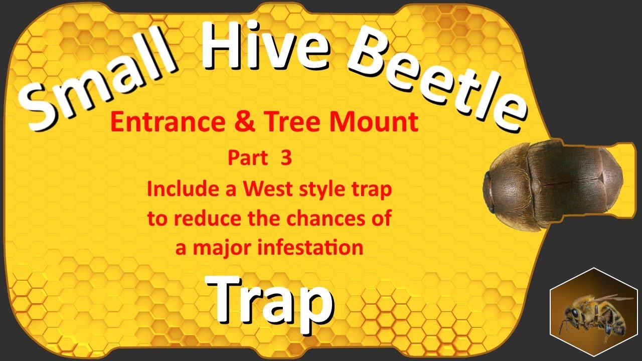 Hive Beetle Trap | Part 3 | Bottle Beehive Entrance & Tree Mount