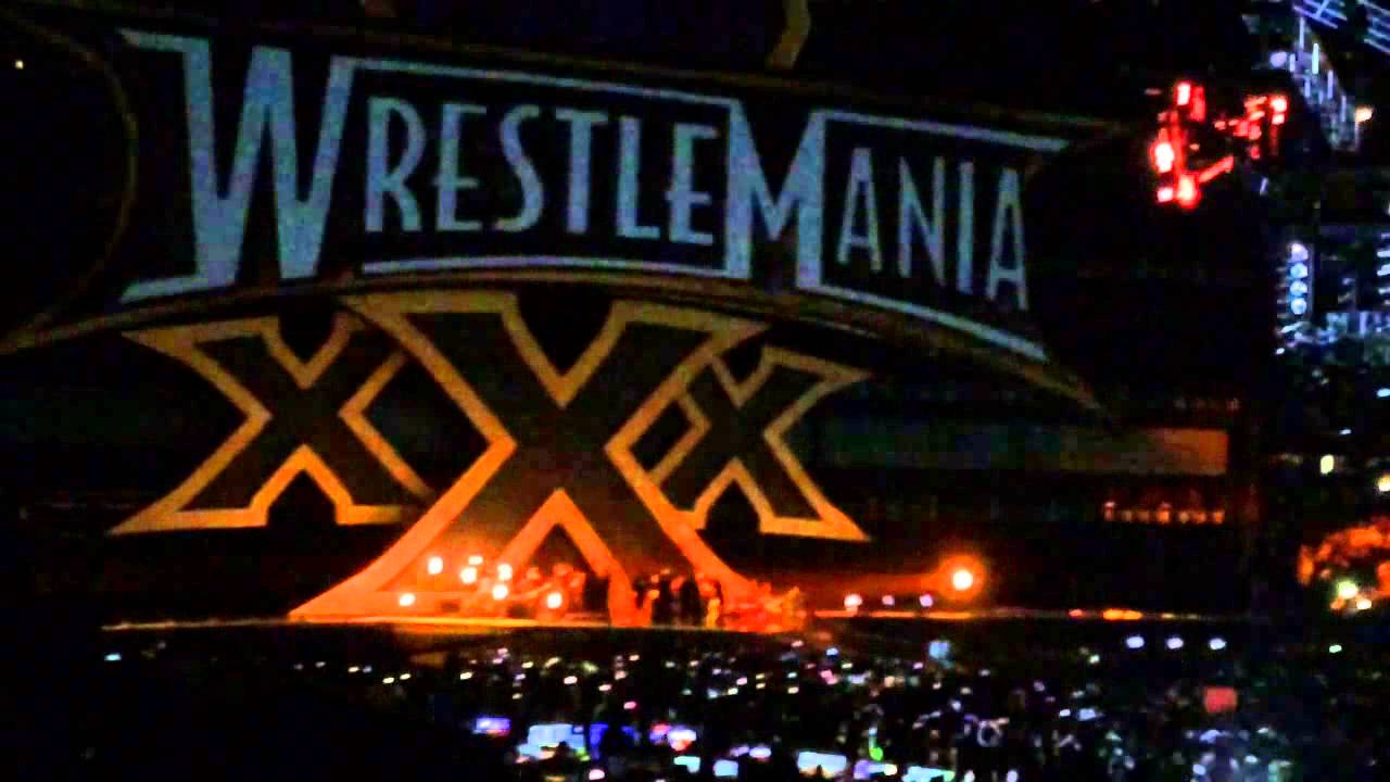 Bray Wyatt Entrance WrestleMania XXX (Live)