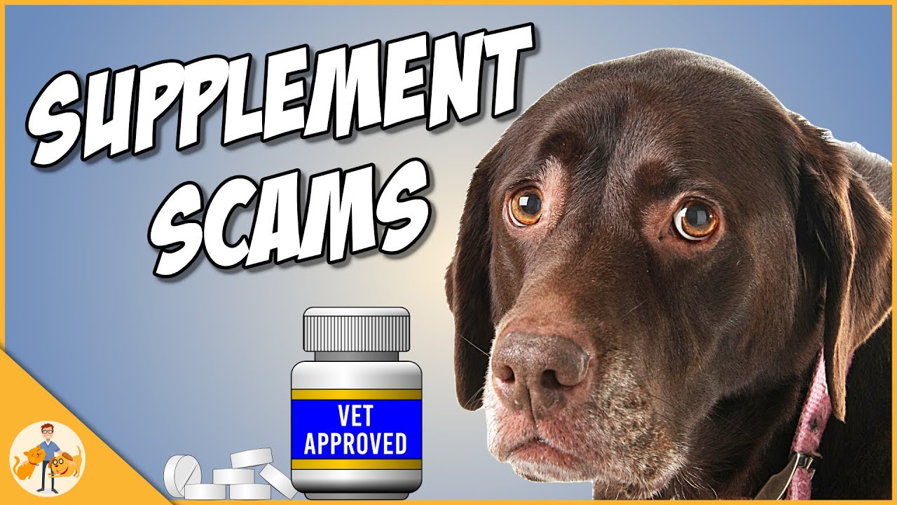 Dog Supplement Scams - Don't Get Caught Out (one vet's story)