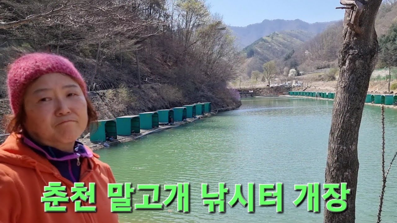 춘천 말고개 낚시터 개장 향어 낚시 잡이터 유료 낚시터 여대장..