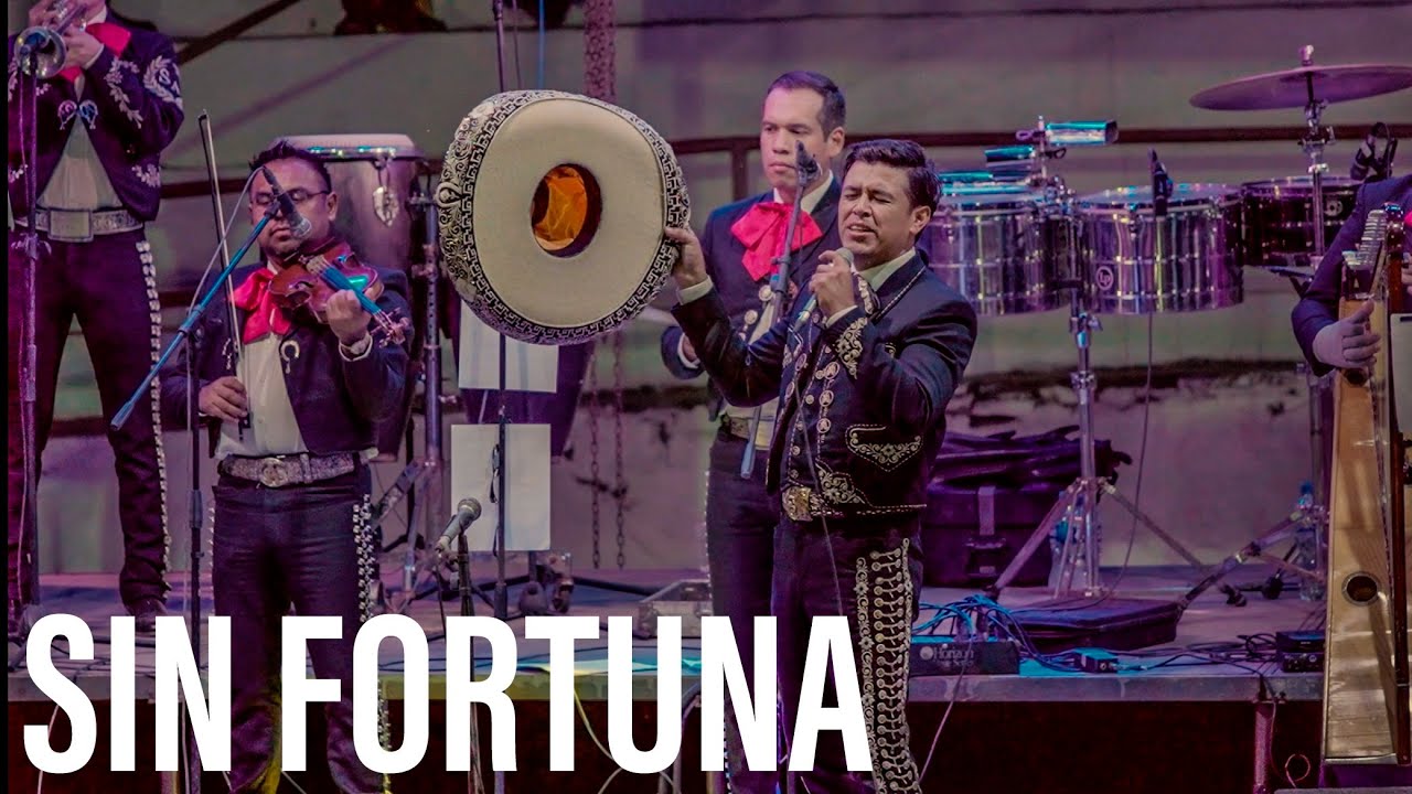 Sin Fortuna - En Vivo - Marco Antonio González con Mariachi