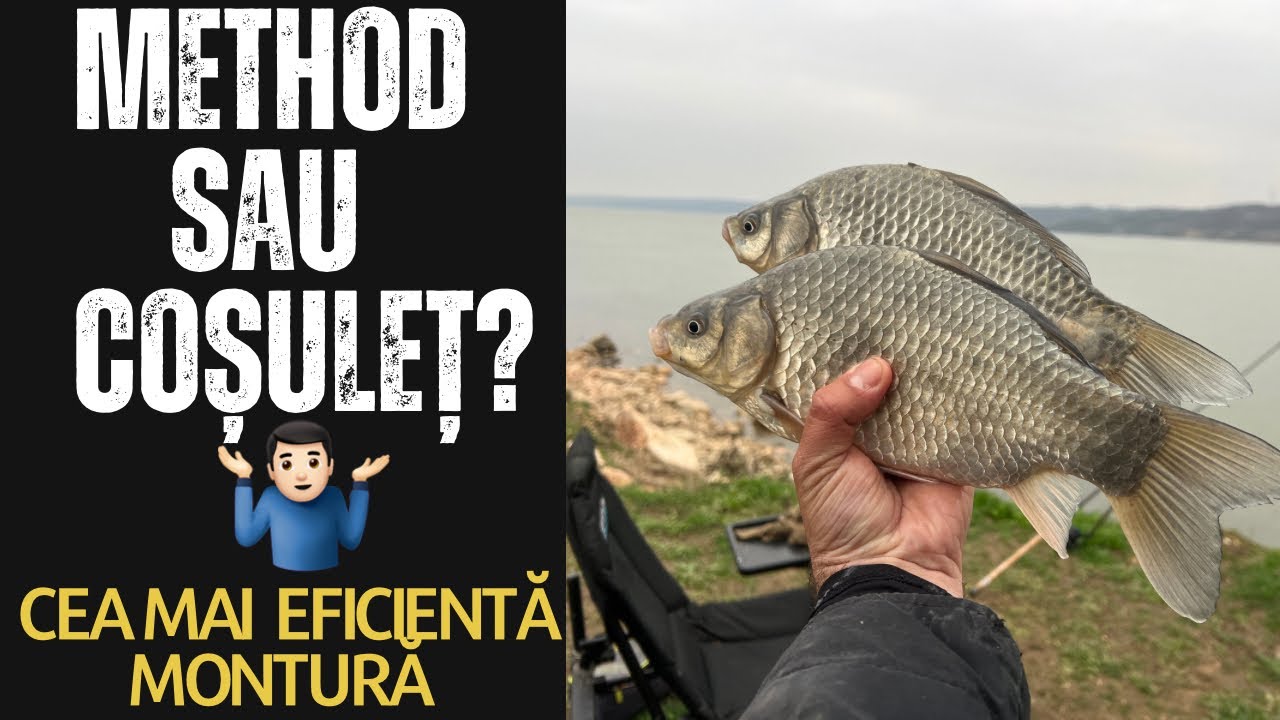 Cea mai EFICIENTĂ montură pe DUNĂRE!! Partidă foarte scurtă!! DIFERENȚA dintre METHOD și COȘULEȚ