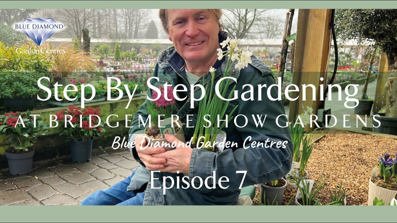 Step by Step Gardening with David Domoney at Bridgemere Show Gardens - EPISODE 7