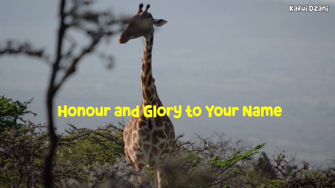 Kafui Dzani - Everloving GOD { Official Lyric Video }