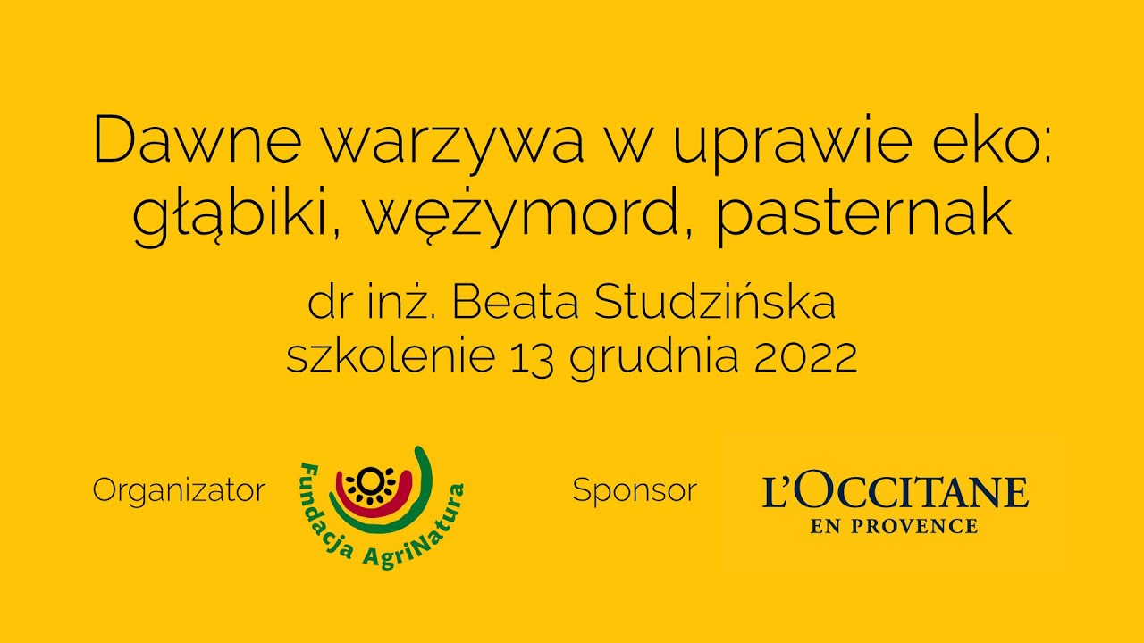 Dawne warzywa w uprawie ekologicznej: głąbiki, wężymord, pasternak – Beata Studzińska 2022