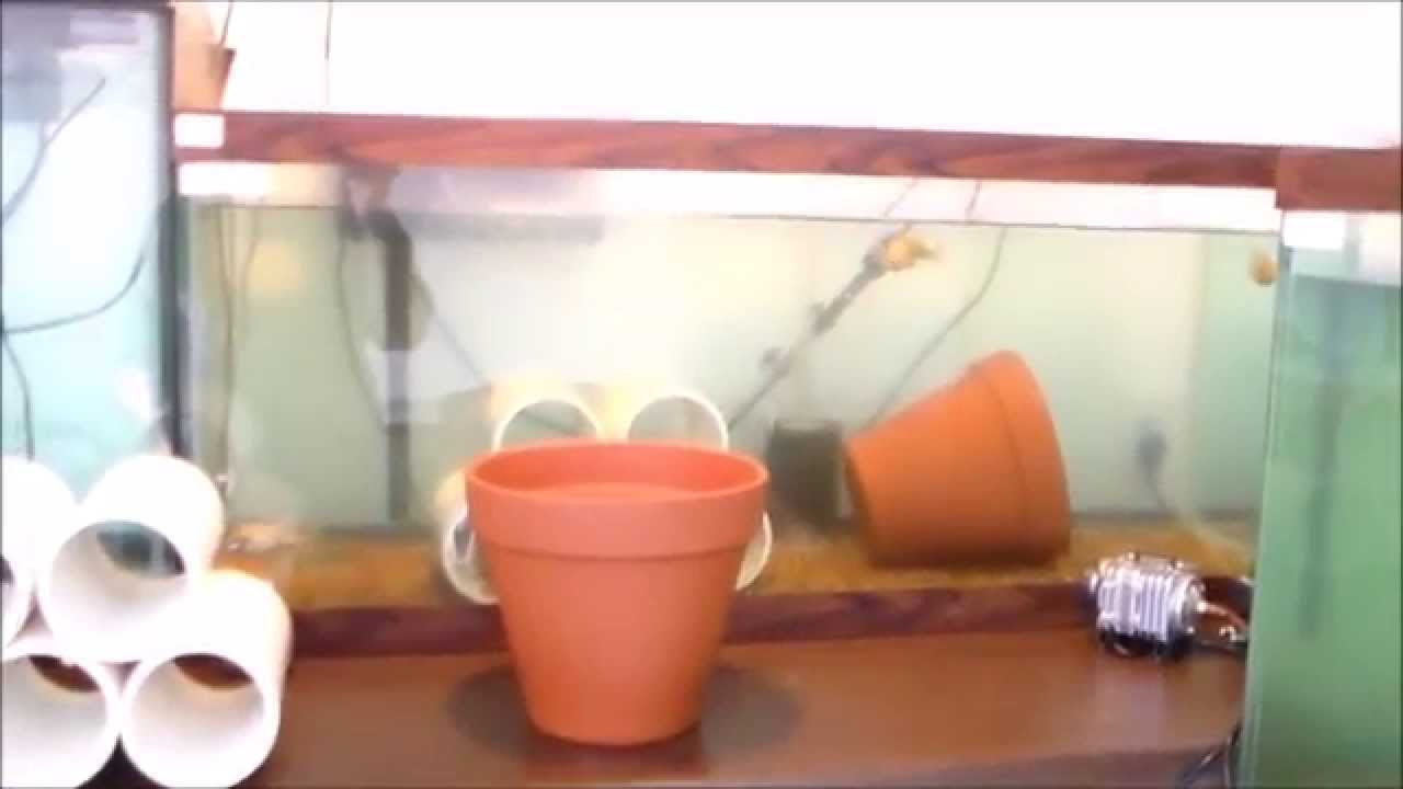 Garden State Tilapia - How To Build a Breeding Tank for Tilapia Part 1