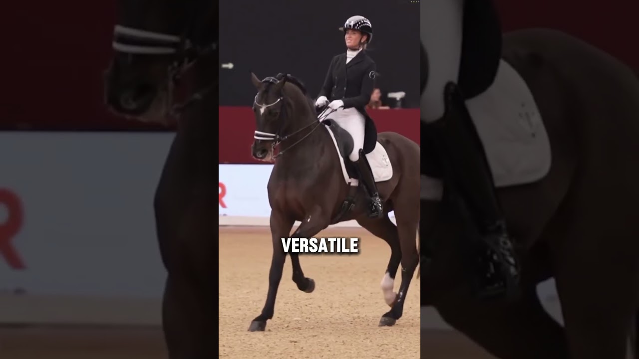 Первая настоящая американская порода лошадей 