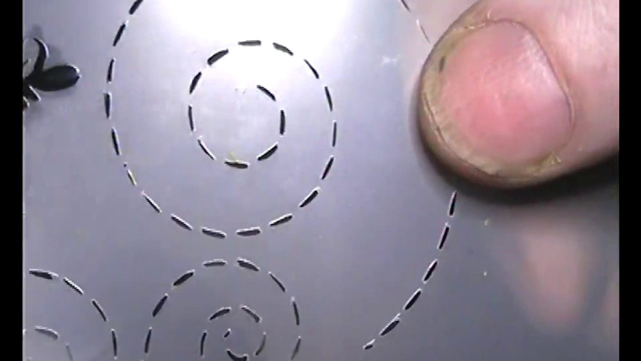 Hand Engraving Scroll Filigree Perfect Spiral backbones Every Time