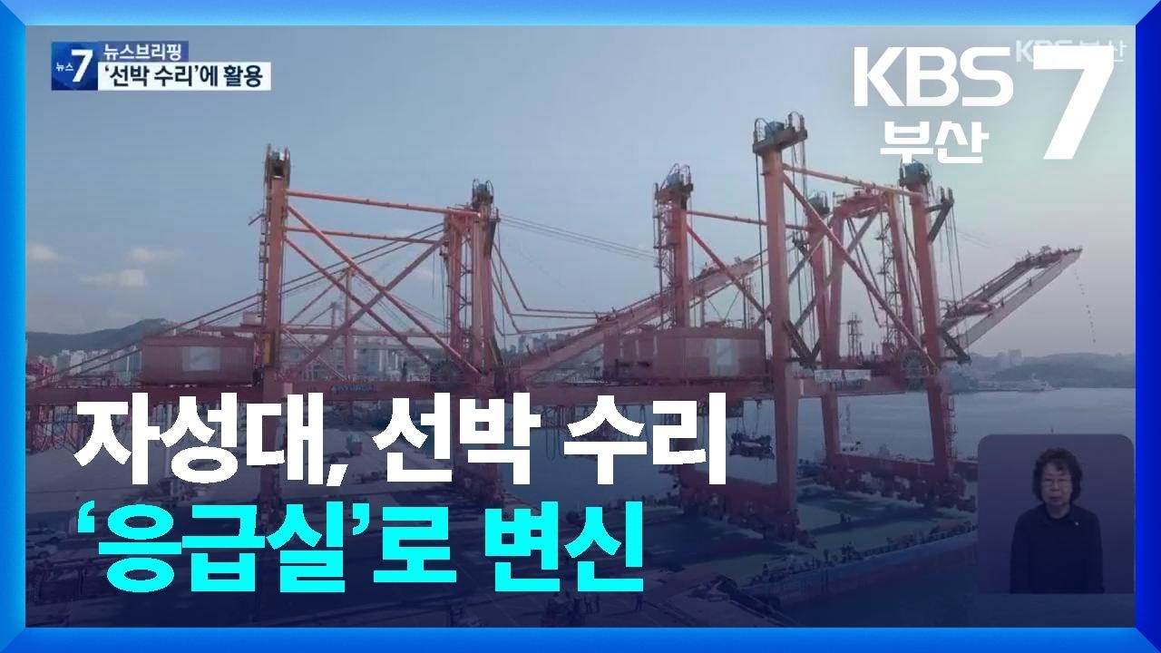 자성대, 선박 수리 ‘응급실’로 변신 / KBS  2025.07.02.