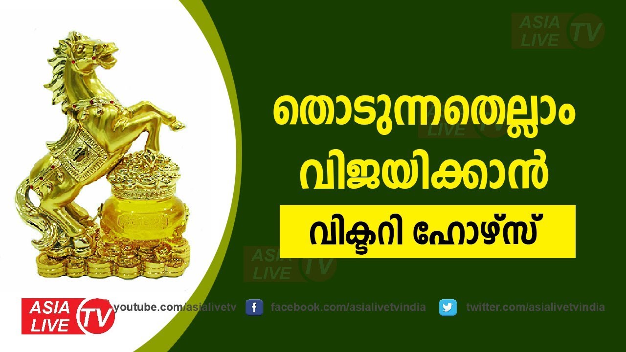 തൊടുന്നതെല്ലാം വിജയിക്കാൻ വിക്ടറി ഹോഴ്സ് | 9745094905 | victory house feng shui