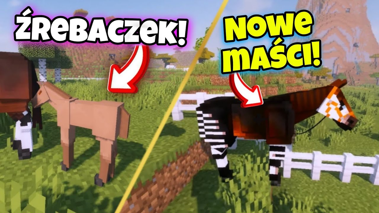 HODOWLA ŹREBAKÓW W MINECRAFT?! Mod SWEM