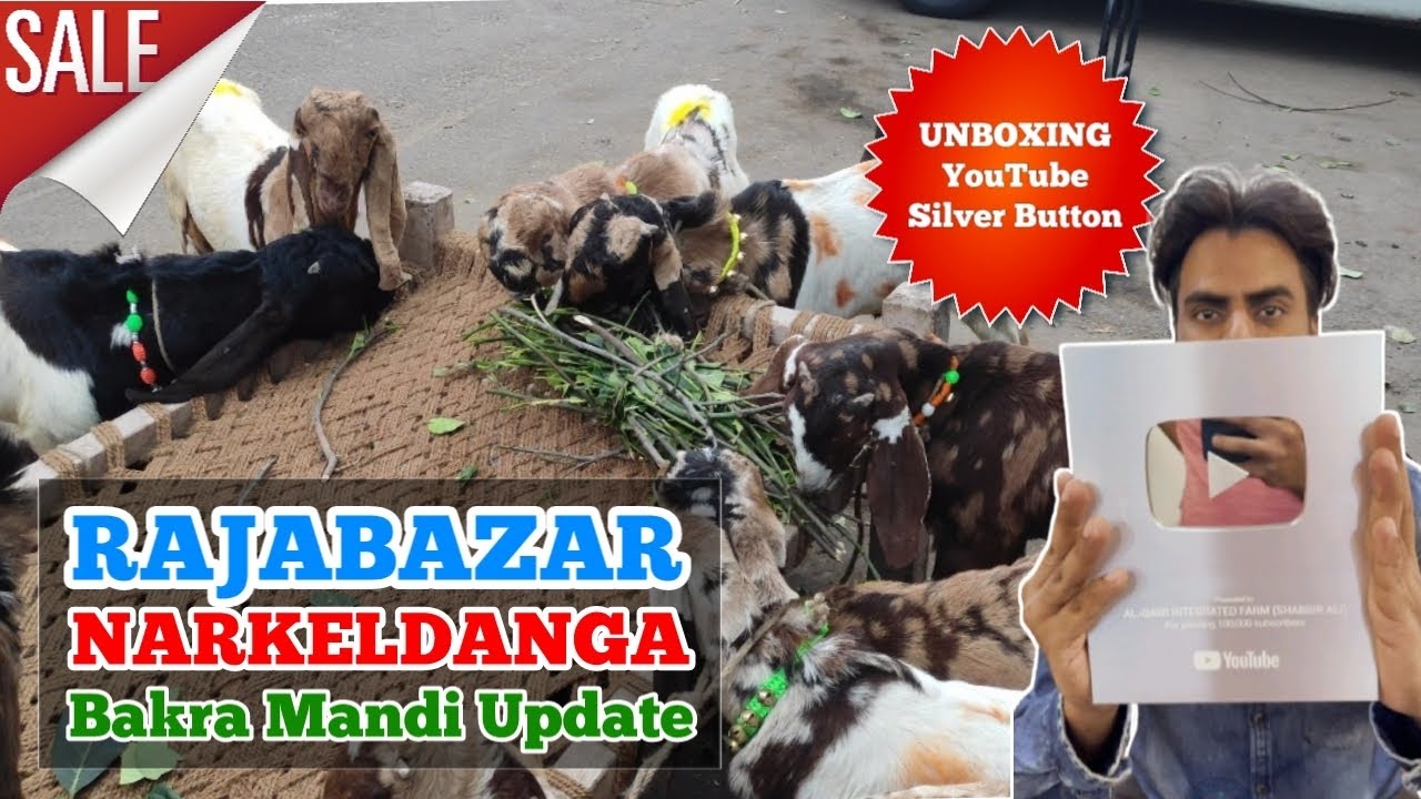 Rajabazar Narkeldanga Bakra Mandi | Unboxing YouTube Silver Play ▶️ Button | Kolkata goat market