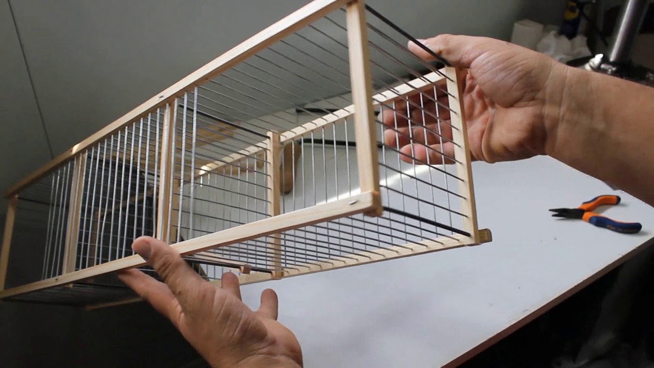 COMO HACER JAULA TRAMPA DOBLE CON RECLAMO CENTRAL PAJAROS / AVES
