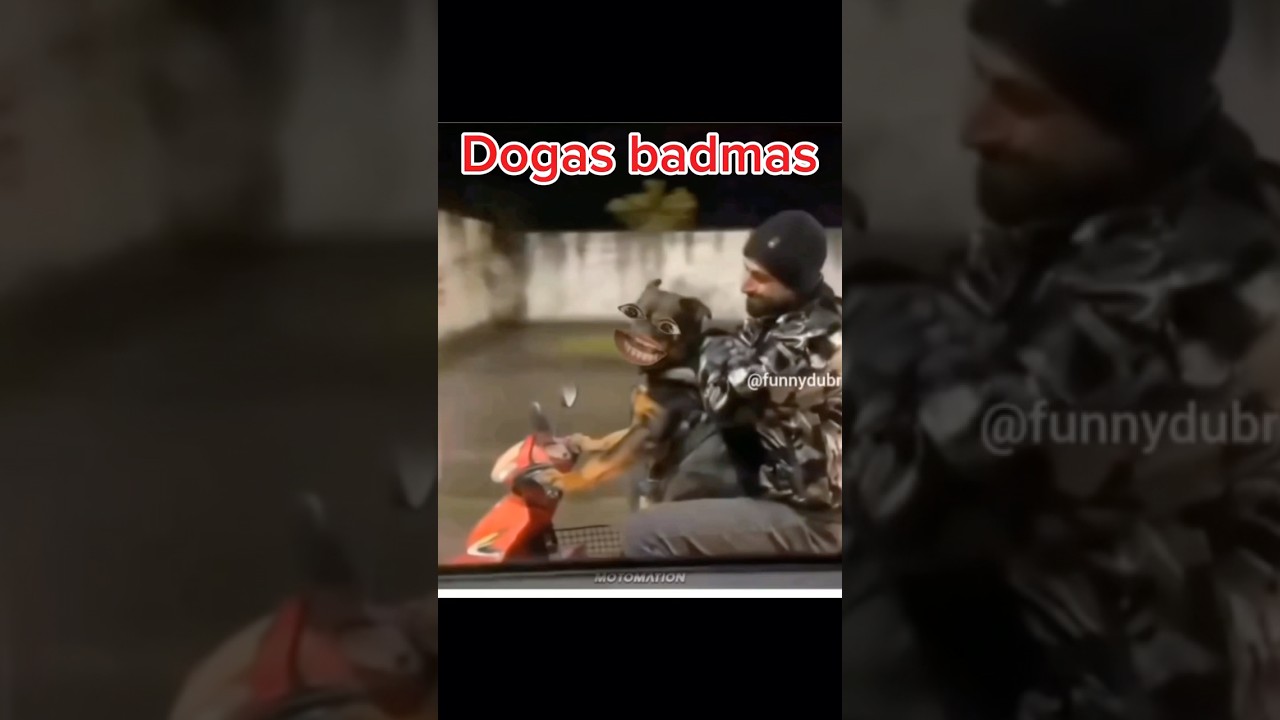 Dogas badmos 😂😂😂#funny #comedy #youtubeshorts