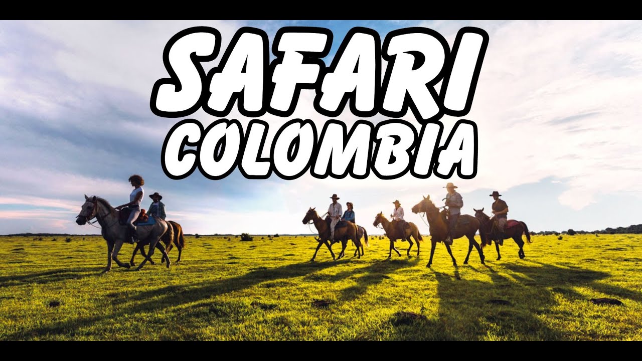 Safari en Colombia: Así es la Experiencia en los Llanos Orientales, Casanare
