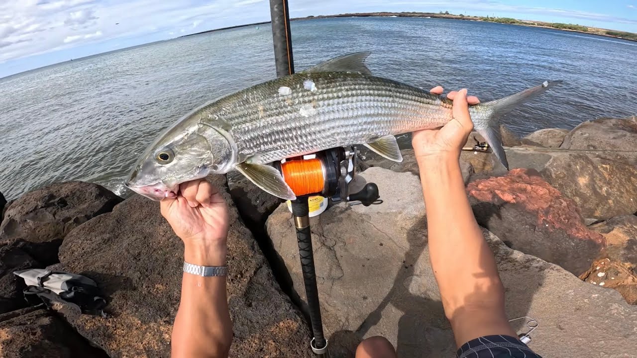 Dunking In Hawaii — PB's Oio & Omilua 3k Special