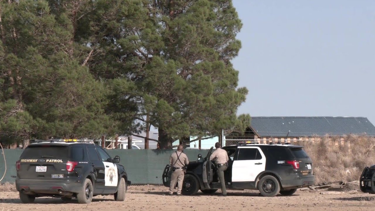 Stolen Vehicle Suspect Barricades in Tree After High-Speed Lancaster Pursuit
