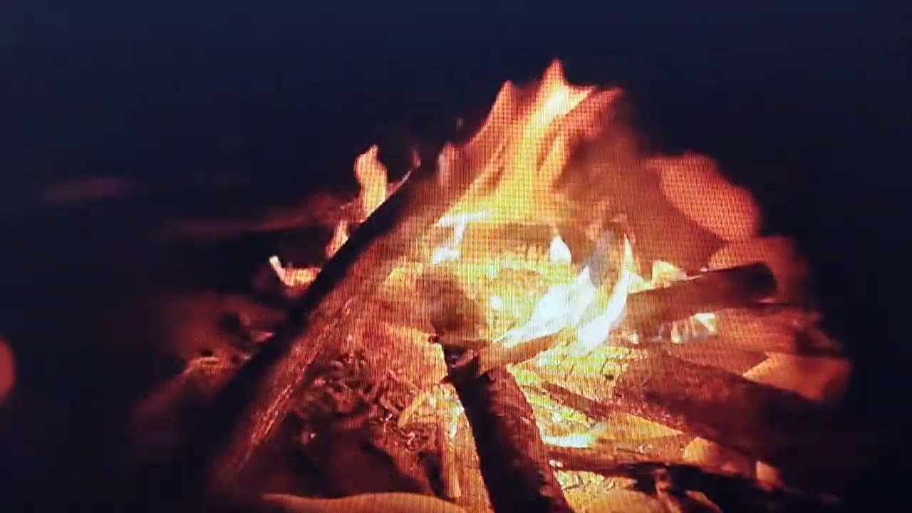 VID 20260121 161654