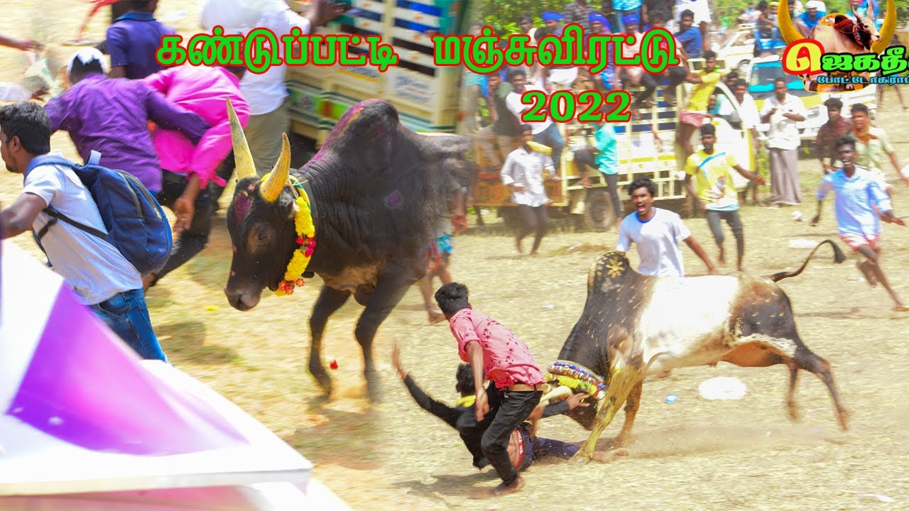 #கண்டுப்பட்டி_மஞ்சுவிரட்டு_திருவிழா_2022 #காளையின்_மிரட்டல்_ஆட்டம்🔥🔥🔥🔥🔥