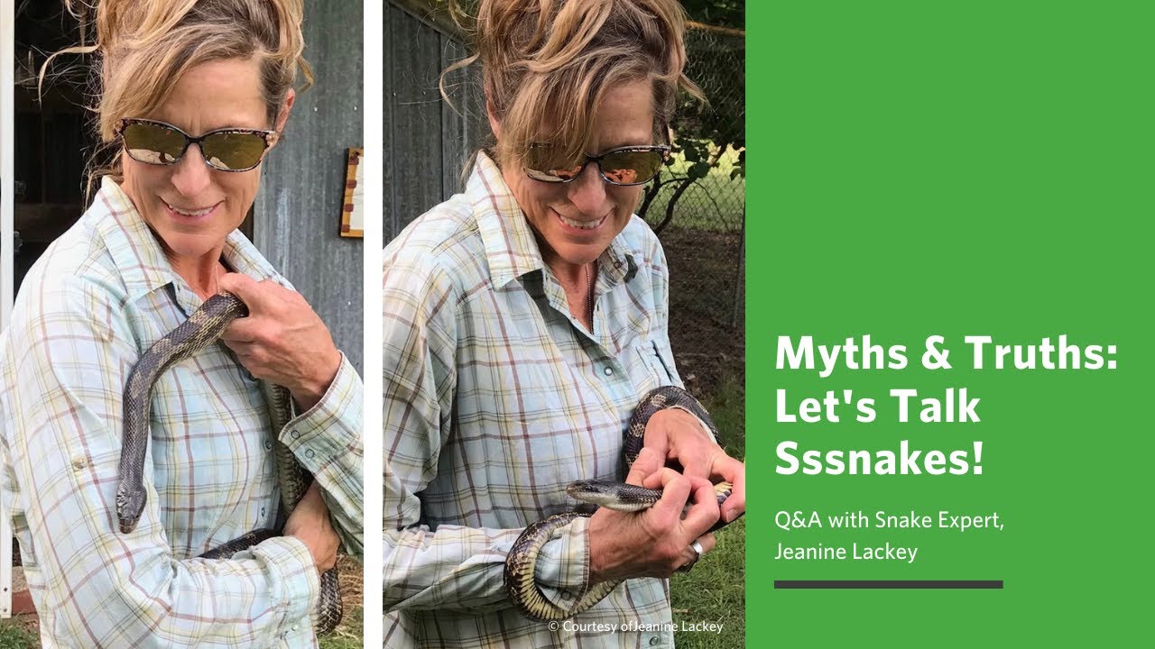 Myths & Truths: Let's Talk Sssnakes!