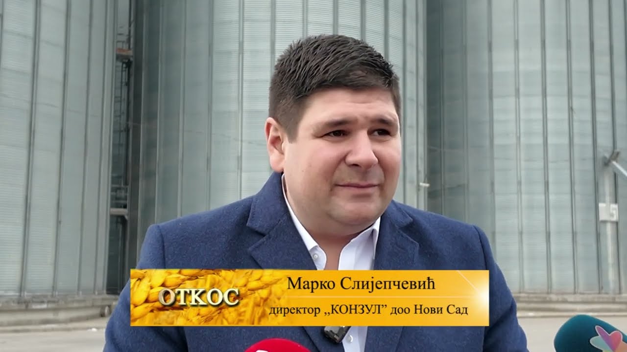 SEZONA PSENICE JE OVDE -DA LI CETE PROFITIRATI ILI SE POKAJATI?