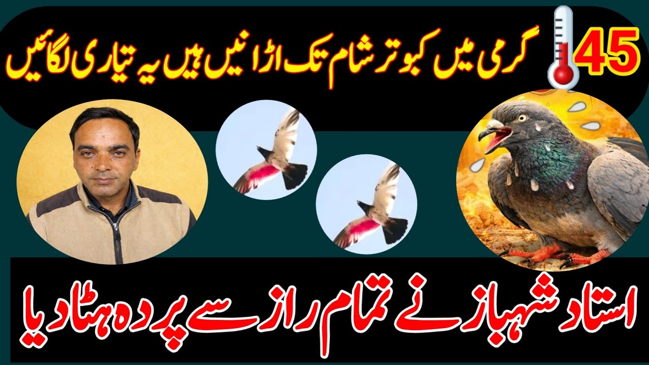 SEZAN 2026 GARMI KI MUKMAL TAYARI KAMAAL VIDEO 