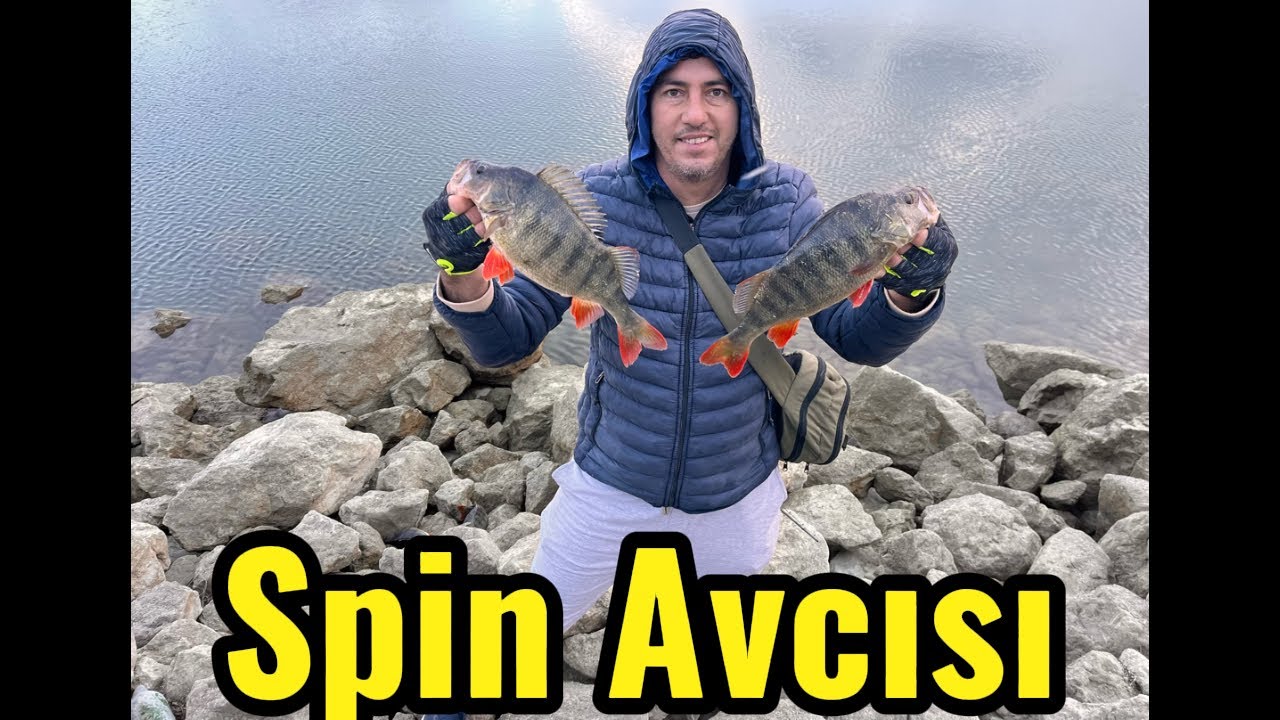 Perch Avı 🥶 🧊 Kar Soğuğunda. Bülent Hocamla#perch 