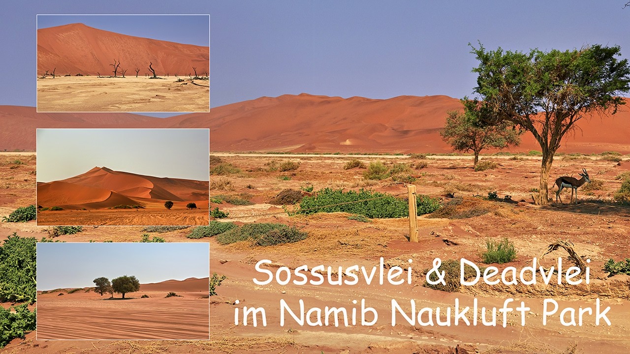 Sossusvlei & Deadvlei im Namib Naukluft Park