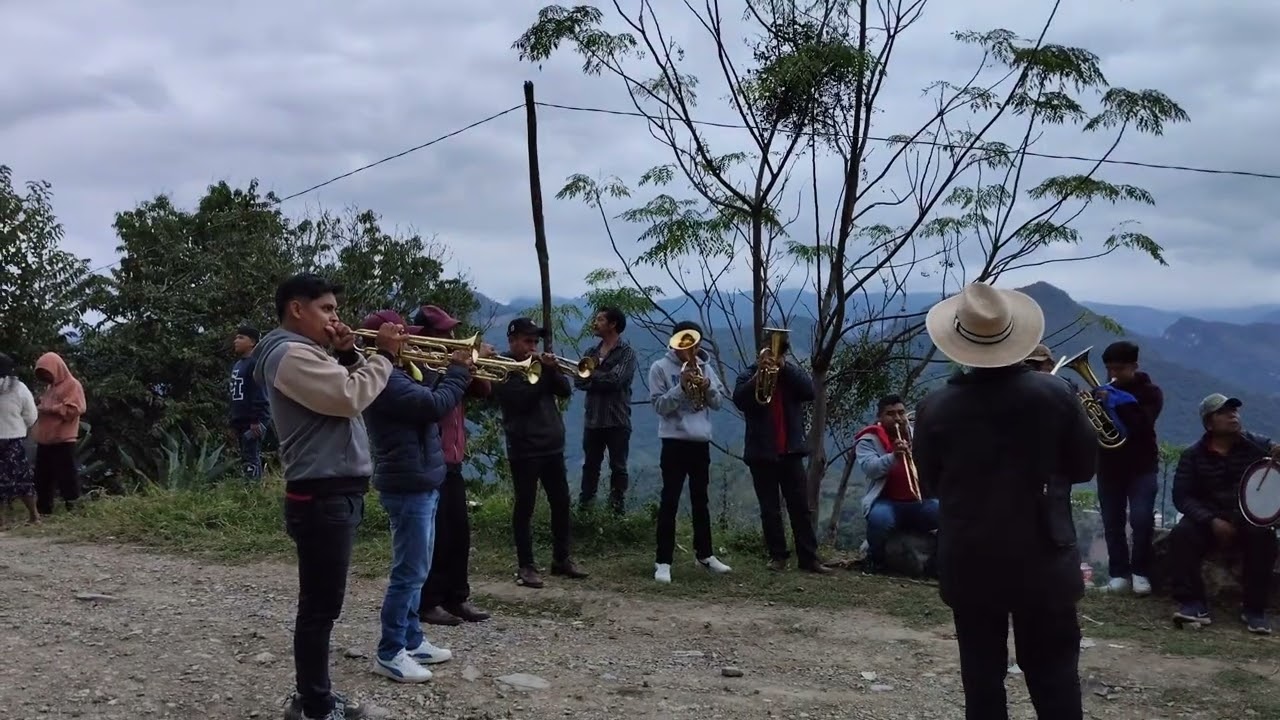 Colas maestro y su banda Flor de caña 🎺🥁