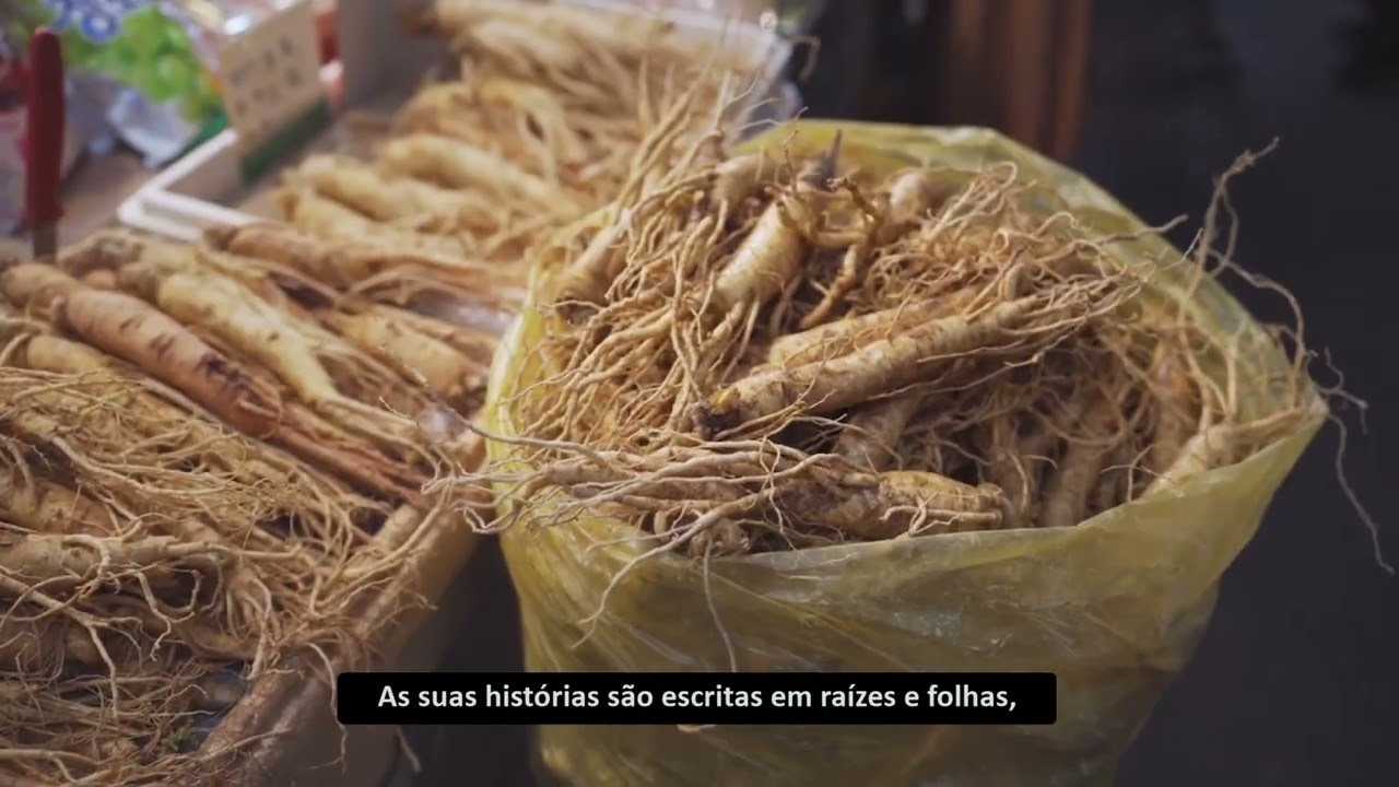 Dia Mundial da Vida Selvagem — Plantas Medicinais e Aromáticas: Conservando a Saúde...