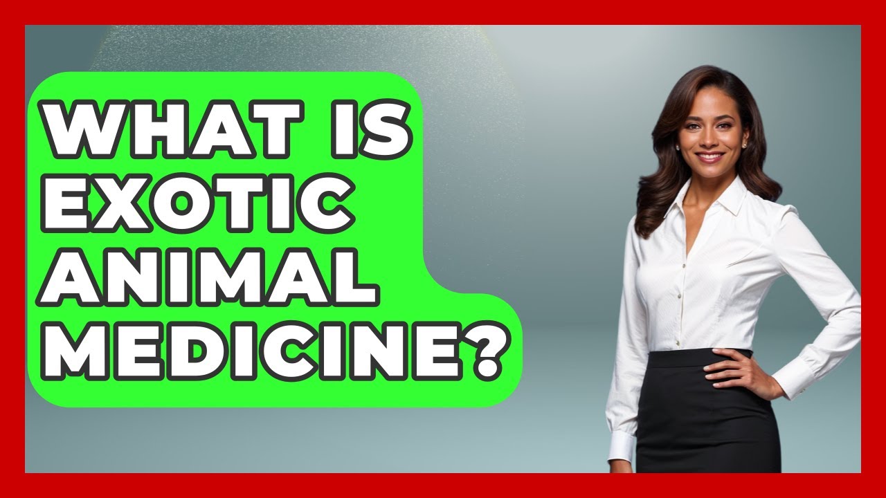 What Is Exotic Animal Medicine? - The College Explorer
