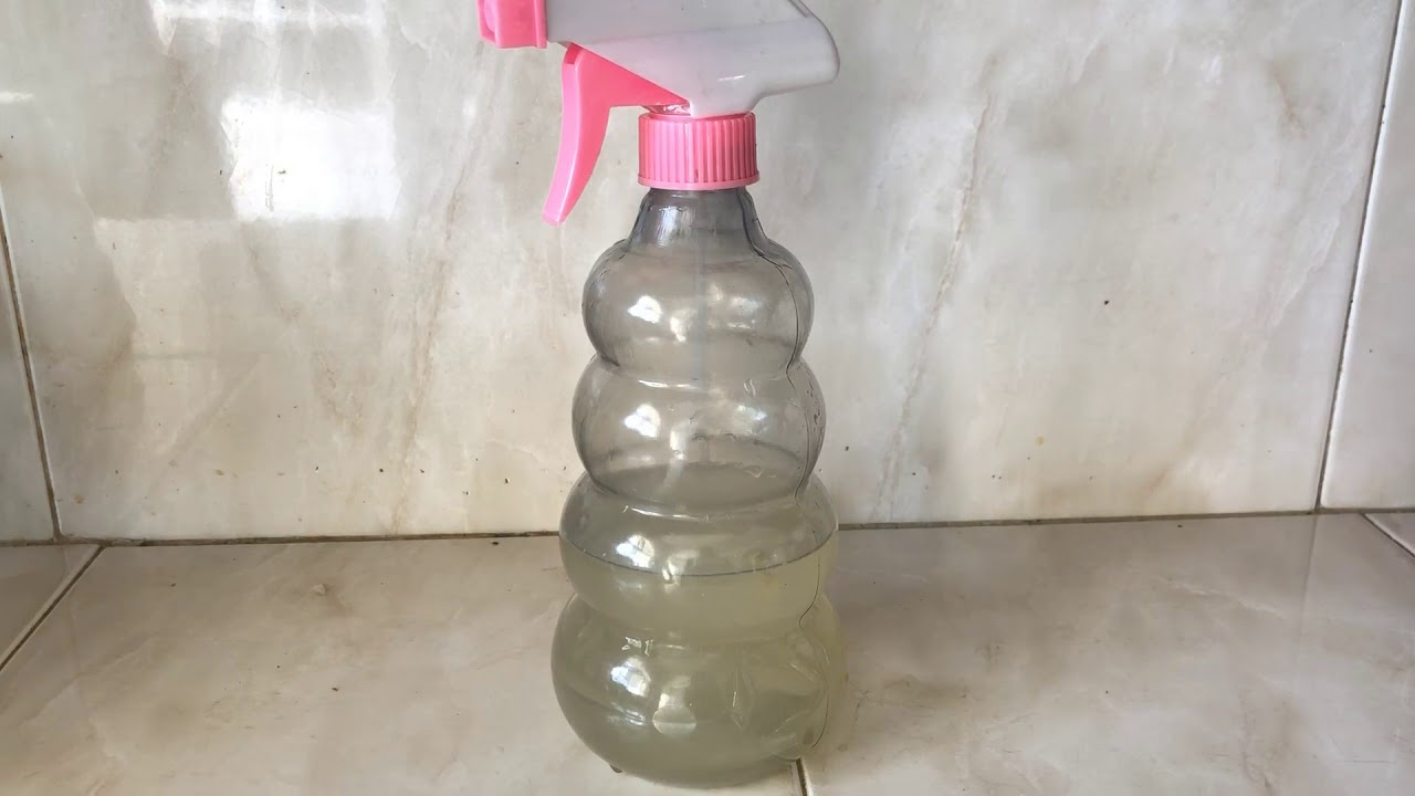 Remedio FÁCIL para EVITAR que los PERROS se ORINEN en la CASA !!!