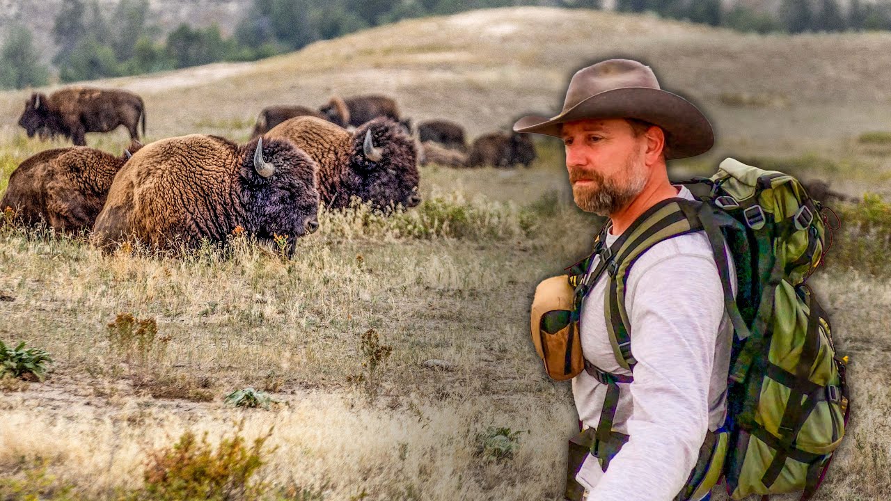 YELLOWSTONE VS. THE SECRET: Where to See Real Montana Wildlife?