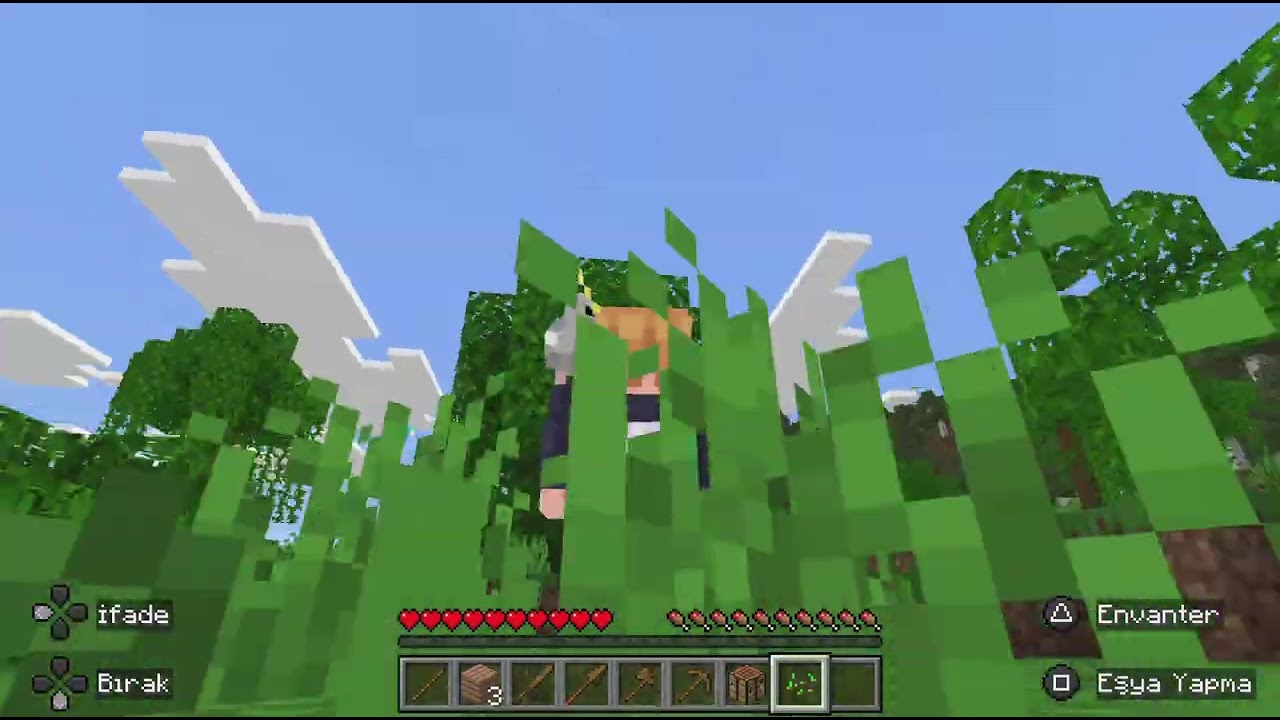 Minecraft