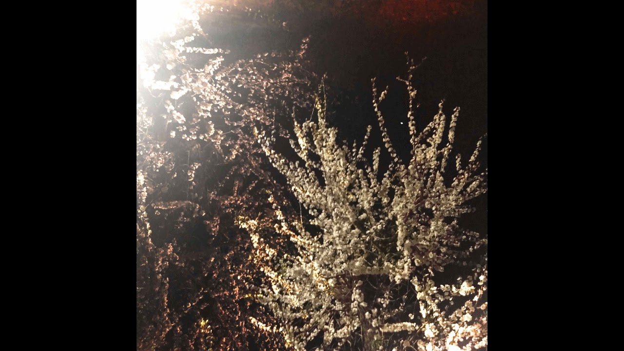 Rory in early 20s - その箱の中に入る。