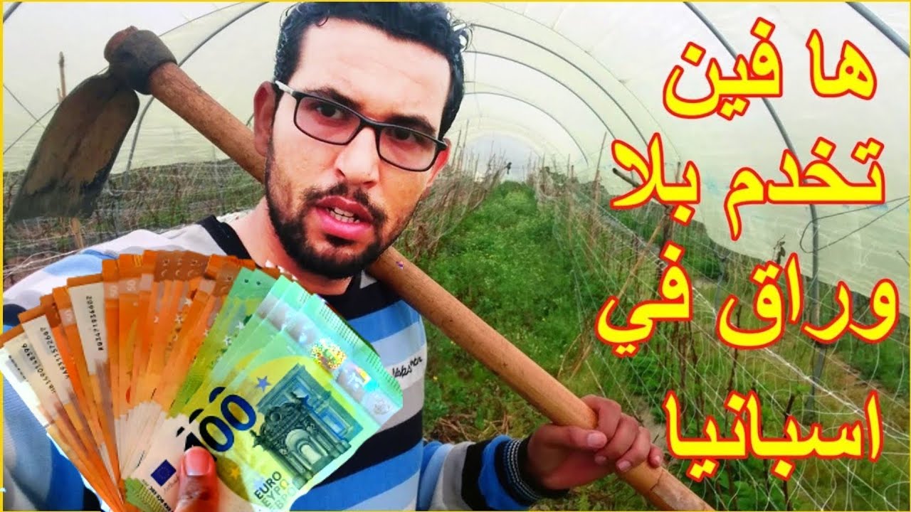 (وقت جني الفواكة اجي تخدم). هافين كنخدمو وبشحال كنتخلصو