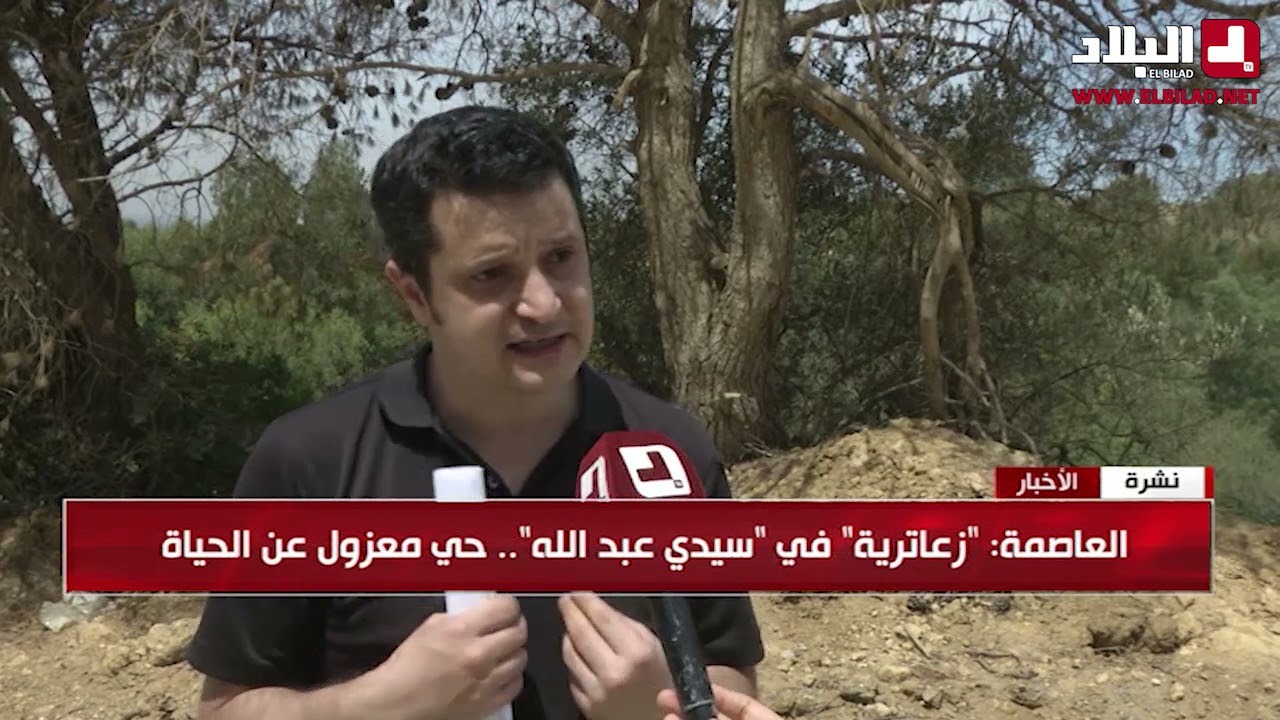 العاصمة : 