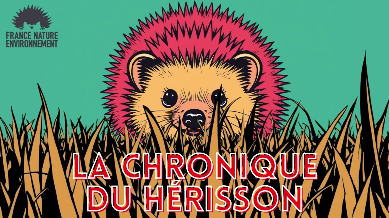 Sortir du nucléaire - La chronique du hérisson