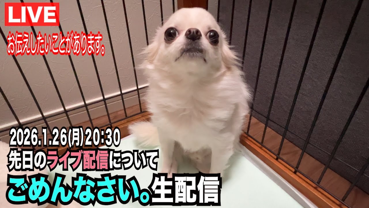 【先日のライブ配信についてお詫び申し上げます】生配信