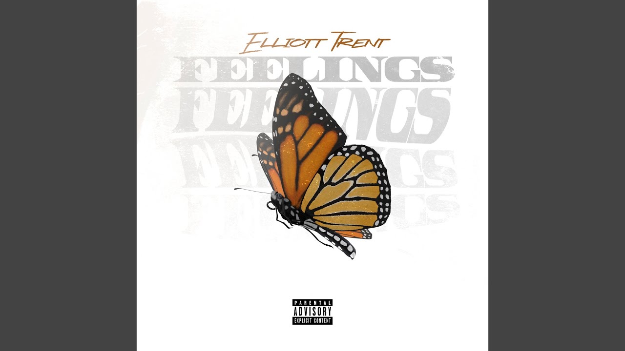 Feelings