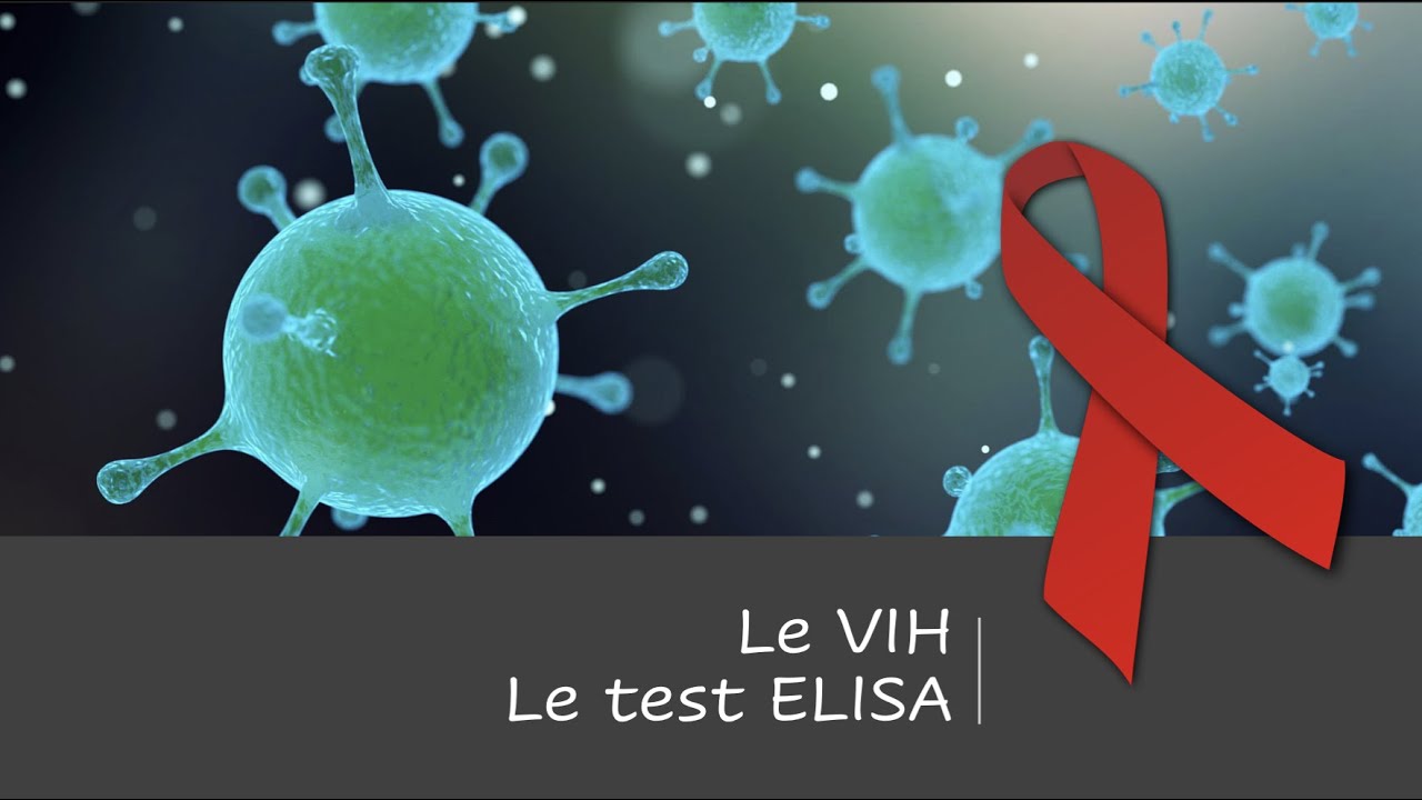 Le VIH et le fonctionnement du test ELISA - 1e Spé SVT