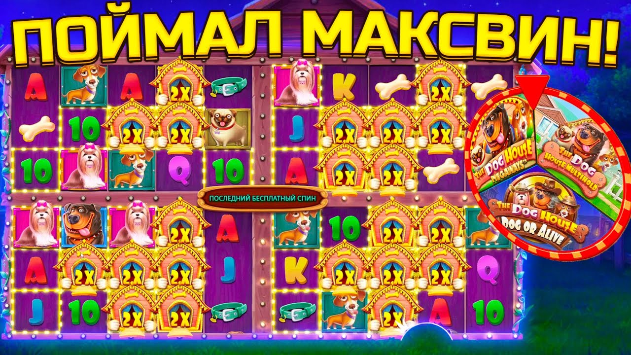 ПОЙМАЛ МАКСВИН В ALL IN БОНУСКЕ, ТРИ СОБАКИ И ТРИ ALL IN