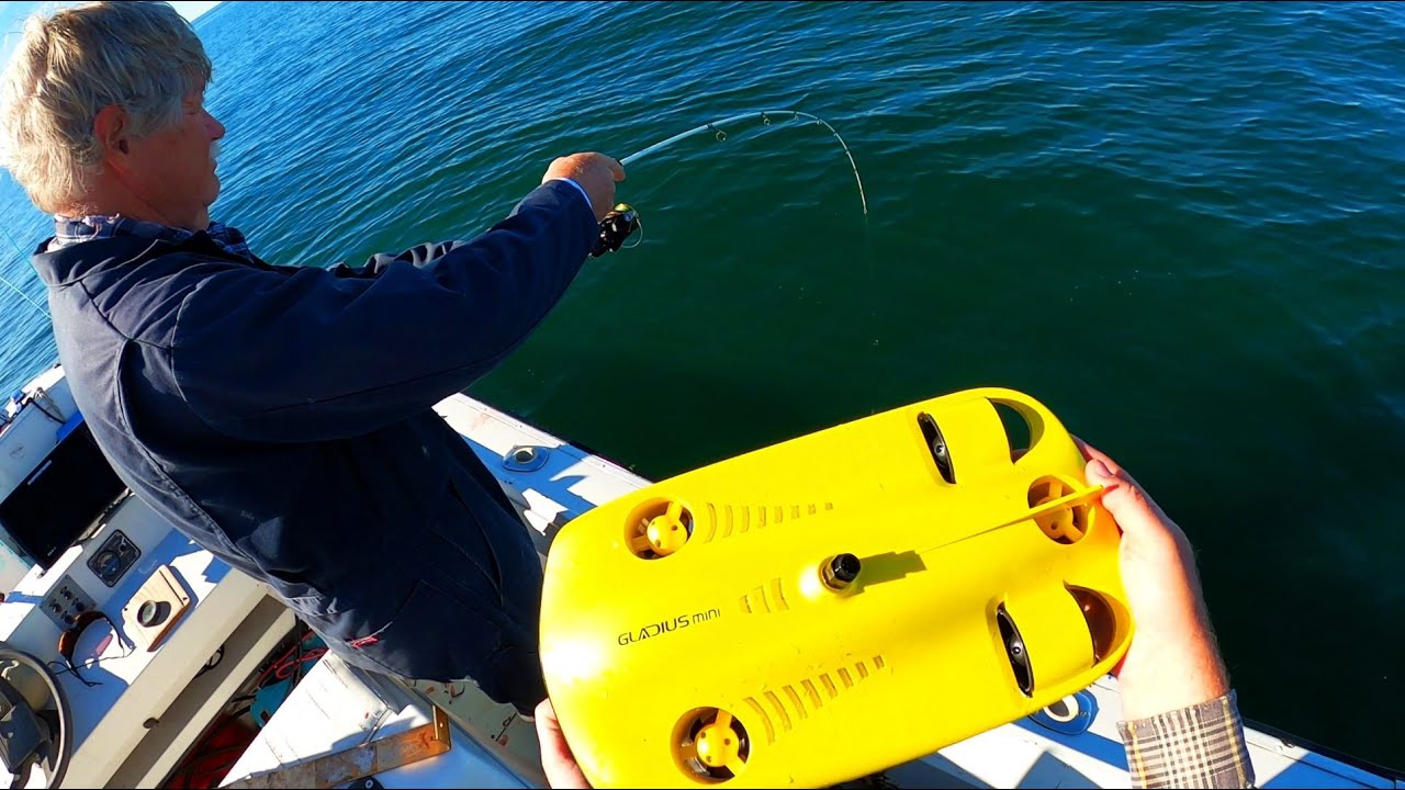 New Underwater Drone Finds Fish and Shows How They Eat!