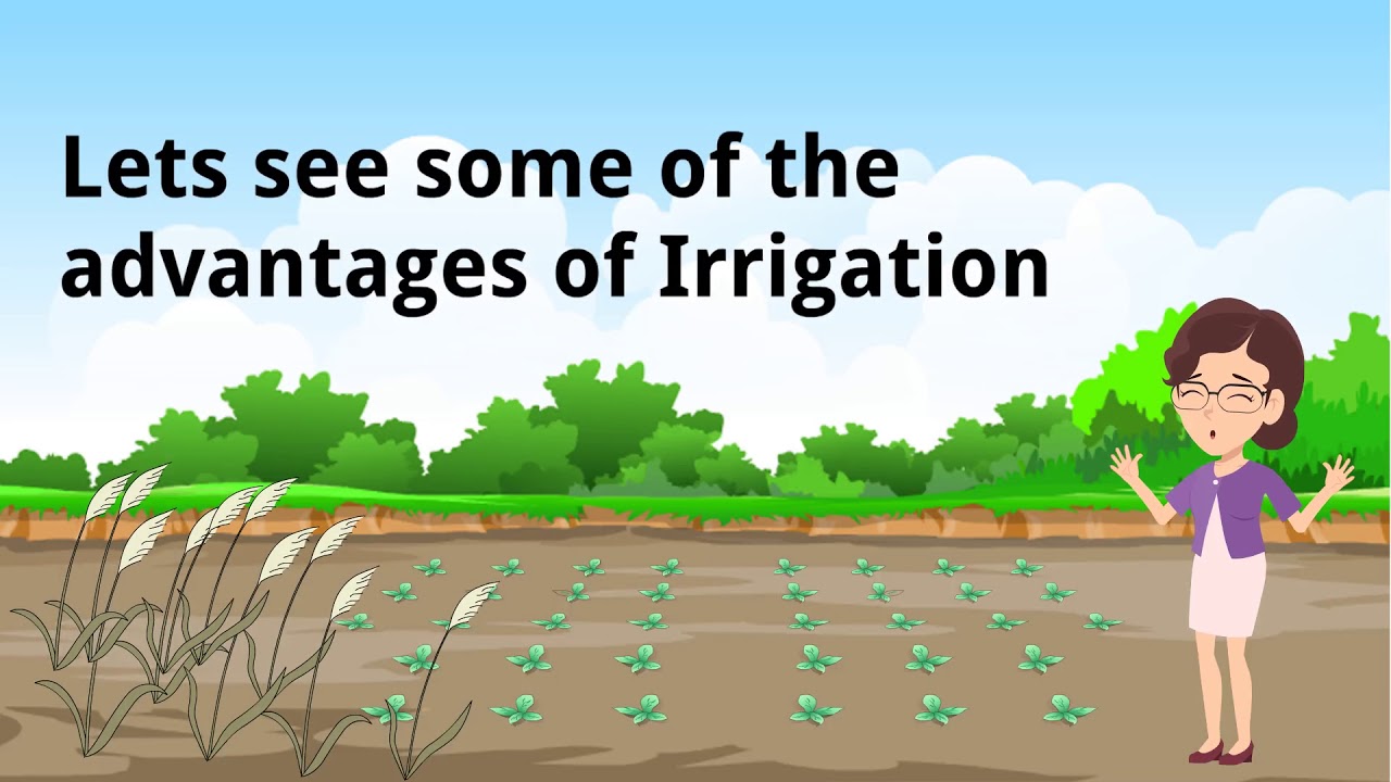 What is Irrigation?