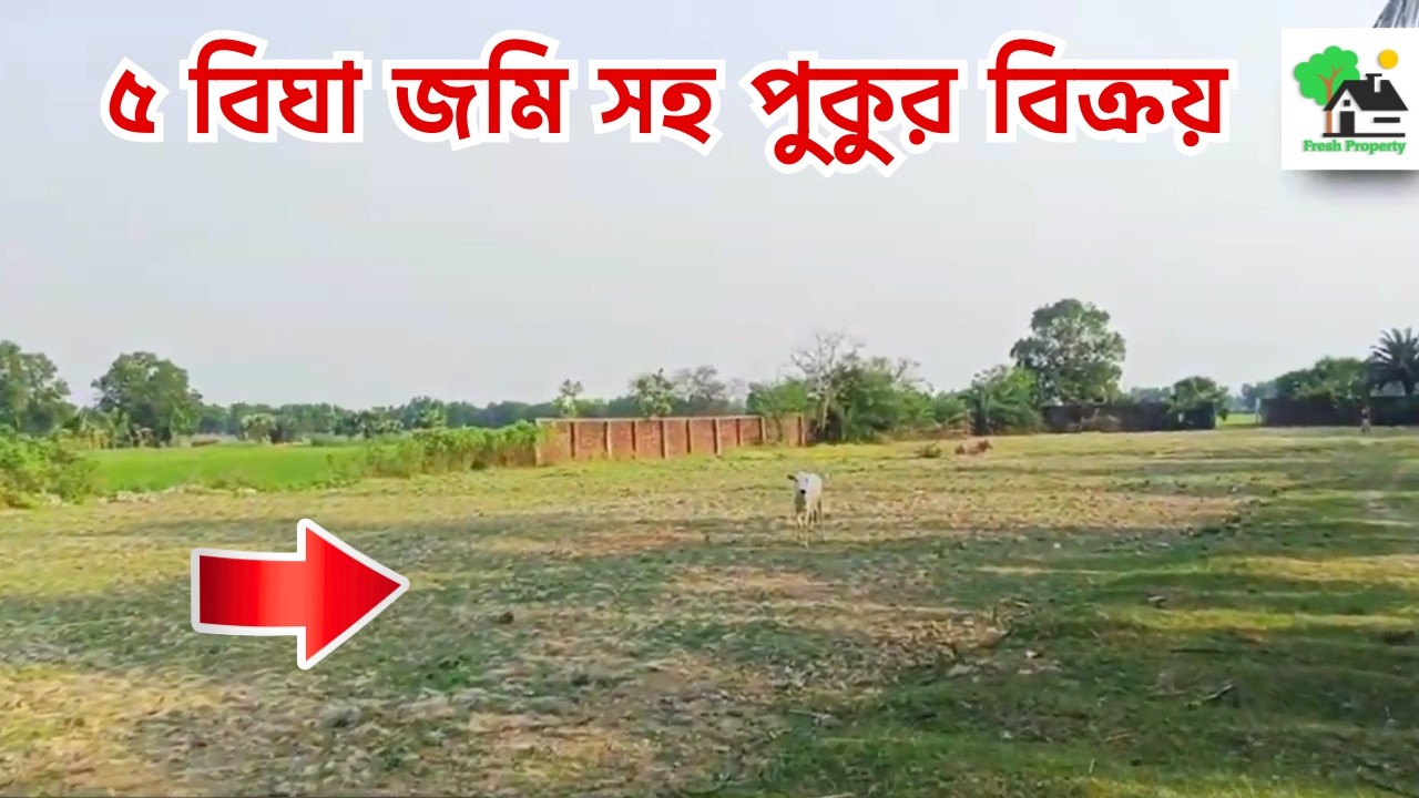Fp - 1455 | ৫ বিঘা জমি সহ পুকুর বিক্রয় | 9073 145 145