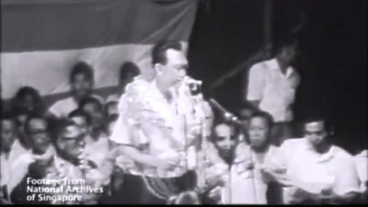 PAP60 - Tracing its roots