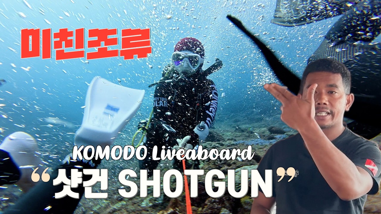 코모도 리브어보드 | 샷건이 샷건인 이유 | Komodo SHOTGUN | ep.6 | IDARO