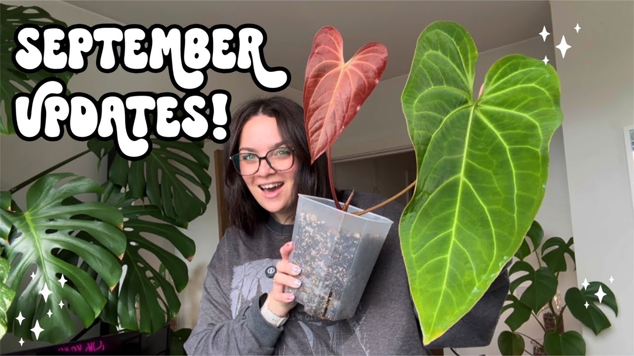 🌿 Houseplant Walk Through 🌿 September Updates: New Plants And New Growth 🌿