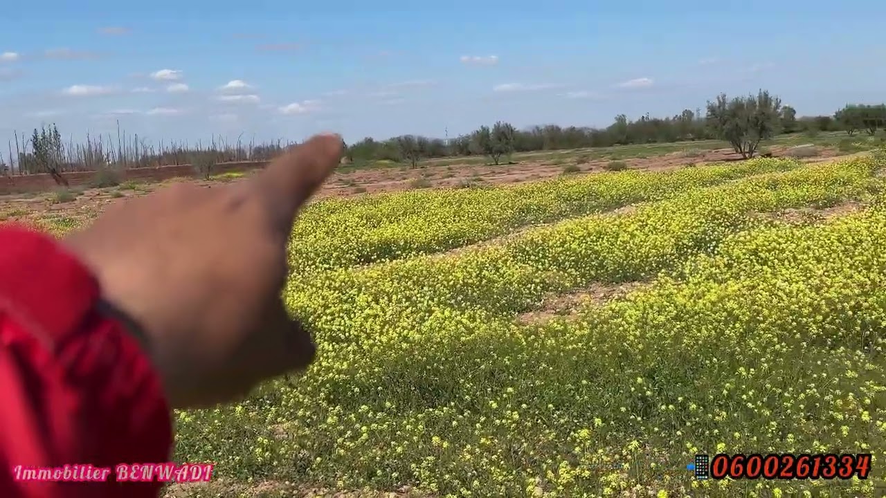 ارض للبيع مساحتها حوالي 3 هكتار إلا ربع قريبا مراكش ب 18 كلم على طريق ودايا ثمن 30 مليون لهكتار